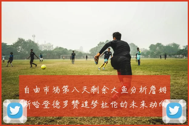 自由市场第八天剩余大鱼分析詹姆斯哈登德罗赞追梦杜伦的未来动向
